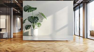 Minimalist Scandinavian Style Room with Monstera Flower in White Pot Wall mural