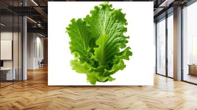 Oak Leaf lettuce photographed alone on transparent background Wall mural