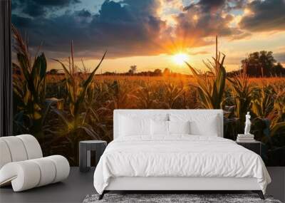 Ohio cornfield summer sunset Wall mural