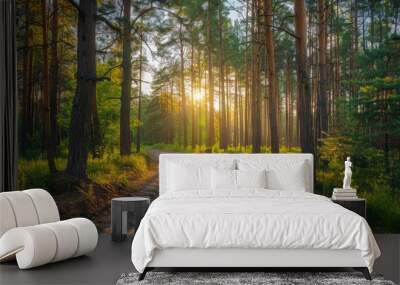 Pine forest on Forest Road on a sunny summer day Wall mural