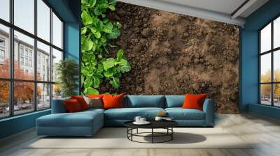 Planting and plantation chemical fertilizer with empty space Wall mural