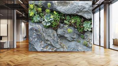 Plants set against a granite stone s natural texture Wall mural