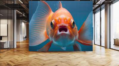 Portrait of a red fish with its mouth open on a blue background, Front view of goldfish in an aquarium, close up macro, Closeup of a shocked or shocked face. Generative AI Wall mural