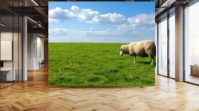 Sheep grazing in a green field under the open sky. Wall mural