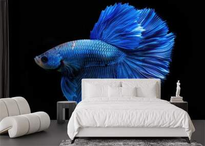 Siamese Blue Betta Fish Wall mural