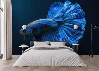 Siamese Blue Betta Fish Wall mural