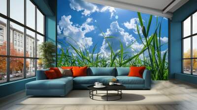 Sky behind the grass Wall mural