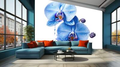 specifics about a blue flower Wall mural