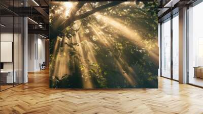 Sunlight filtering through tree branches Wall mural