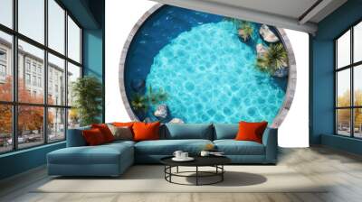 Top view of circular pool on transparent backround. Wall mural