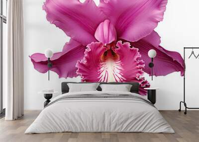 transparent background with isolated magenta cattleya orchid Wall mural