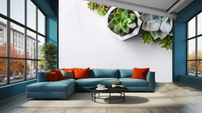 Various types of succulents are displayed in flowerpots against a white background, adding a touch of nature to any space Wall mural