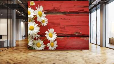 Yellow and white daisy blooms on red wooden backdrop with text area Wall mural