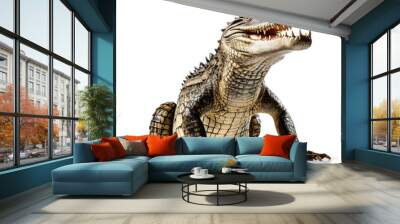 Crocodile isolated white background Wall mural