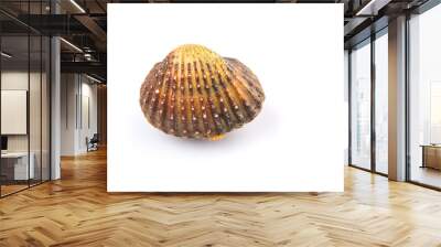 Raw, fresh cockle over white background Wall mural