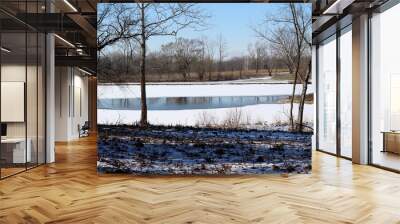 A view of the frozen lake from the field on a sunny day. Wall mural