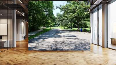 The long empty park street in the country on a sunny day. Wall mural