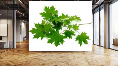 maple branch lies Wall mural