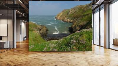 Le Pulec, Jersey, U.K. Coastal Spring landscape. Wall mural