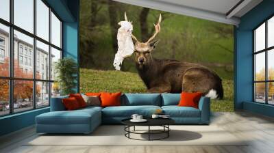 New Look Antler dressing Wall mural