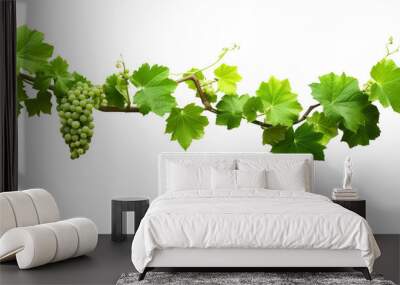 ivy grape bush branch png isolated on a white or transparent background, graphic resource, green plant foliage, summer decoration Wall mural