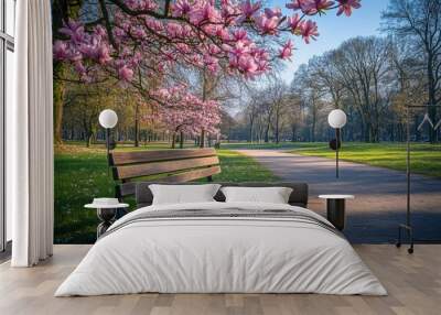 Spring in Nordpark, DÃ¼sseldorf, adorned with blooming magnolias. Wall mural