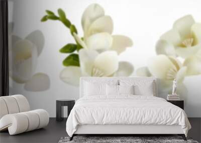 Vector flowers. Freesia. On a white background isolated Wall mural