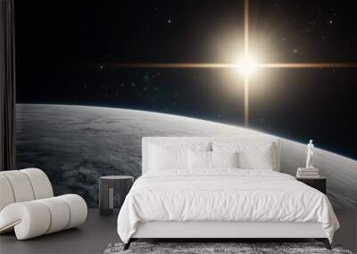  The sun shines brightly over Earth's horizon, as viewed from a space shuttle Wall mural