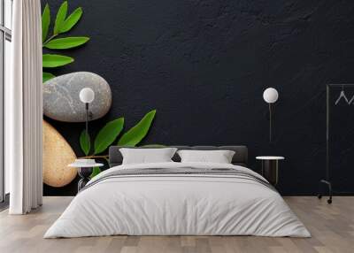  Two rocks atop a verdant, leafy plant Neighboring a black stone against a dark backdrop Wall mural