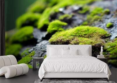 close up of green moss on the stone Wall mural