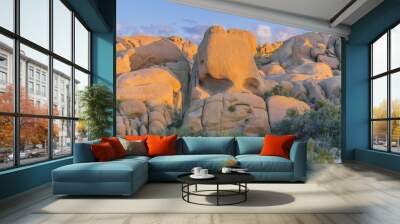 The Skull Rock, in the Joshua Tree National Park, is a favorite stop for park visitors. Wall mural