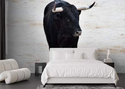 black bull in spain Wall mural