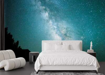 Milky way in El Llano Del Jable, La Palma Island, Canary Islands, Spain Wall mural