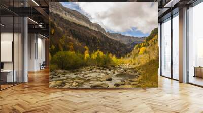 Otoño en los Pirineos Wall mural