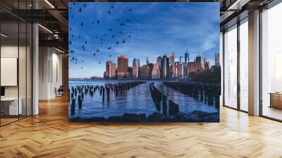 birds blue sky city panorama manhattan new york beautiful cute usa pier woods water sea buildings skyscrapers illuminated sun  Wall mural