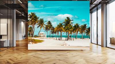 palm trees on the beach key Biscayne Florida  Wall mural