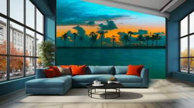 sunset beach palm tree tropical clouds sky orange sea ocean island sunrise coast florida dusk beautiful eden coconut impressions sun silhouette traveling sand vacation nature Wall mural