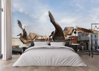 Two brown seagulls with wings open to take flight next to a railing of a famous Dublin city river and bridge Wall mural