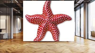 Closeup of a red and white starfish isolated on white background with shadows. Wall mural