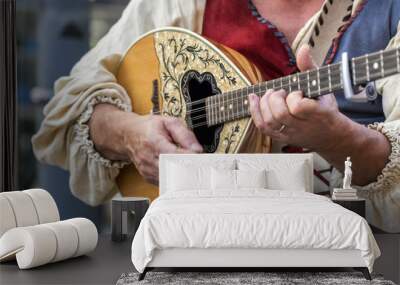 Mandolino e serenata, tra colori e tradizione Wall mural