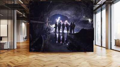 Mine, Iron ore, Kryvyi Rih, Ukraine, underground, Wall mural