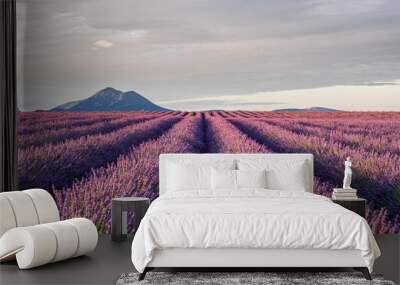 Lavender field in Puimoisson, Provence, France Wall mural