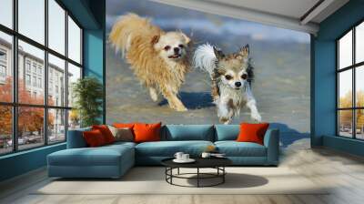 Dogs, our friends Wall mural