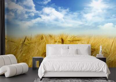 Cornfield Wall mural