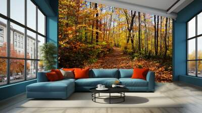 Fall upstate New York Wall mural