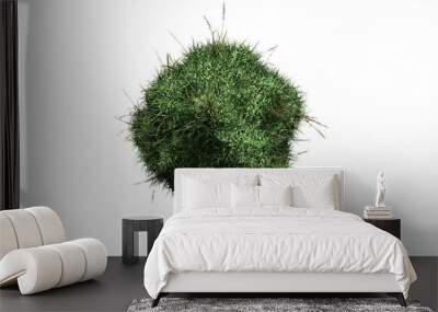 grass planet Wall mural