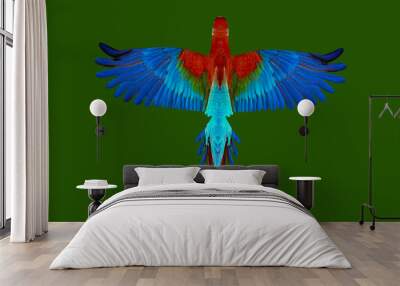 guacamaya isolated on green background Wall mural