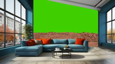 martian land Wall mural