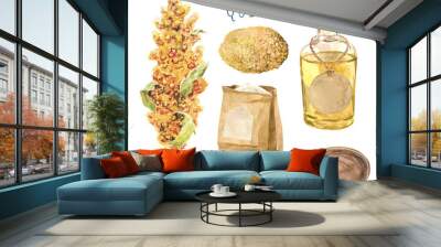 Quinoa plant and seeds isolated on white background. Flour pack, glass bottle of oil, wooden spoon. Gluten-free product, healthy food, vegetable protein, vegetarian diet Wall mural