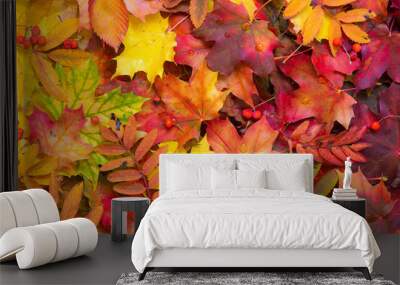 Colorful autumn leaves background. Bright orange tones colors. Wall mural